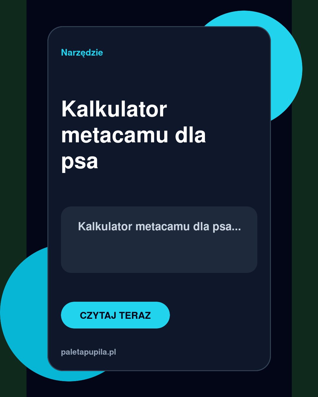 Dog Metacam calculator